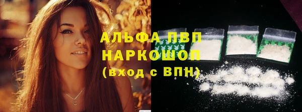 прущие крисы Белокуриха