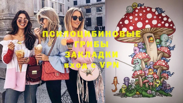 прущие крисы Белокуриха