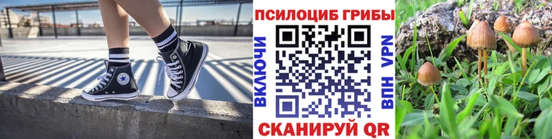 Псилоцибиновые грибы ЛСД  Облучье 